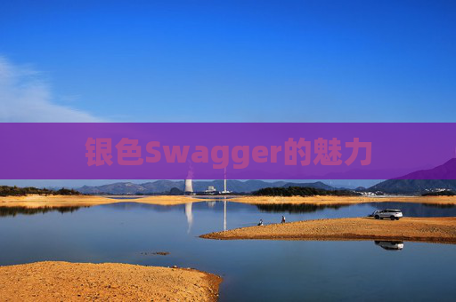 银色Swagger的魅力
